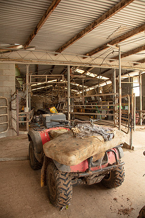 Simmonds_Dillon_Farm-4047_web