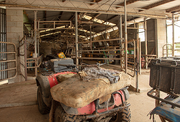 Simmonds_Dillon_Farm-4046_web