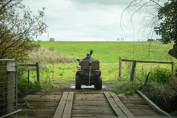 Simmonds_Dillon_Farm-3924_web